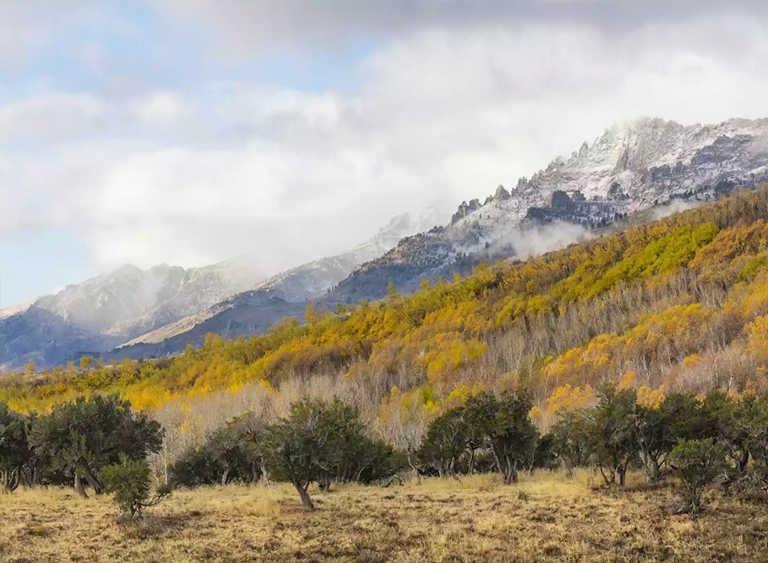 洪堡-Toiyabe國家森林在內(nèi)華達(dá)州.jpg 洪堡-Toiyabe國家森林在內(nèi)華達(dá)州