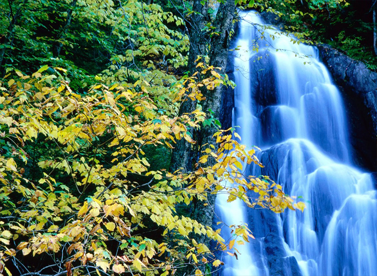 佛蒙特州的綠山國家森林.jpg 佛蒙特州的綠山國家森林