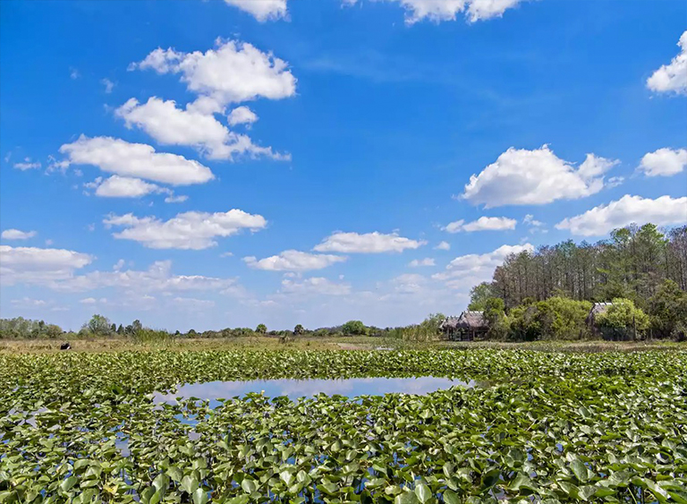 熱帶稀樹(shù)草原