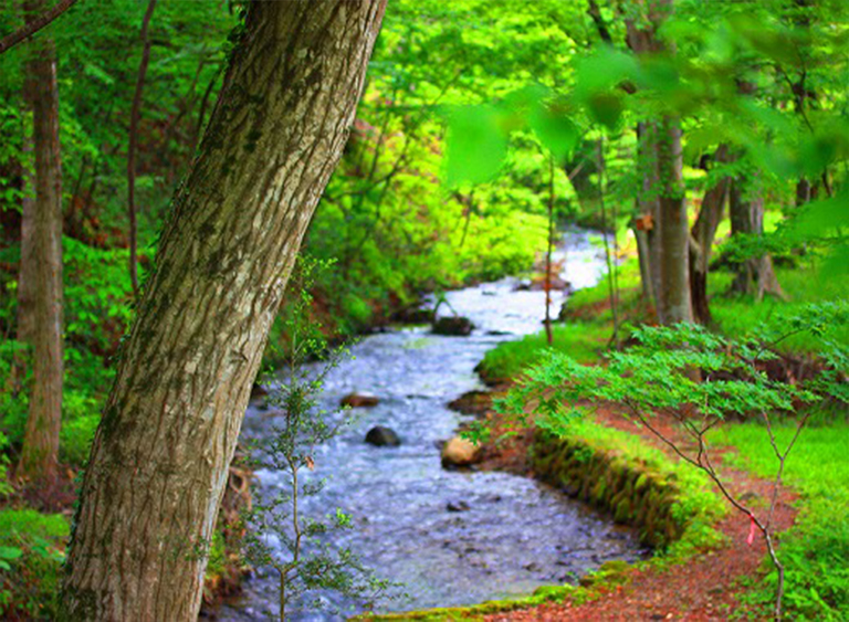仿真樹.jpg 仿真樹