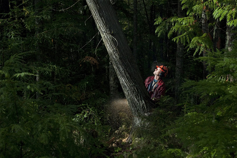 仿真樹.jpg 仿真樹