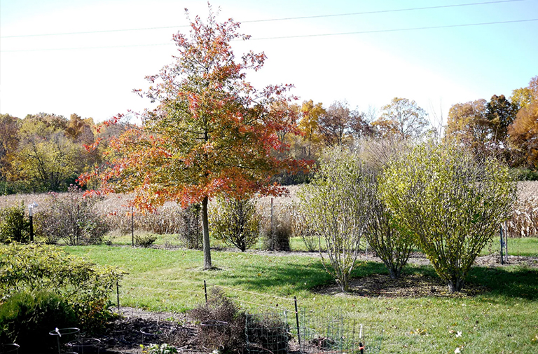 舒瑪?shù)隆W克.jpg 舒瑪?shù)隆W克