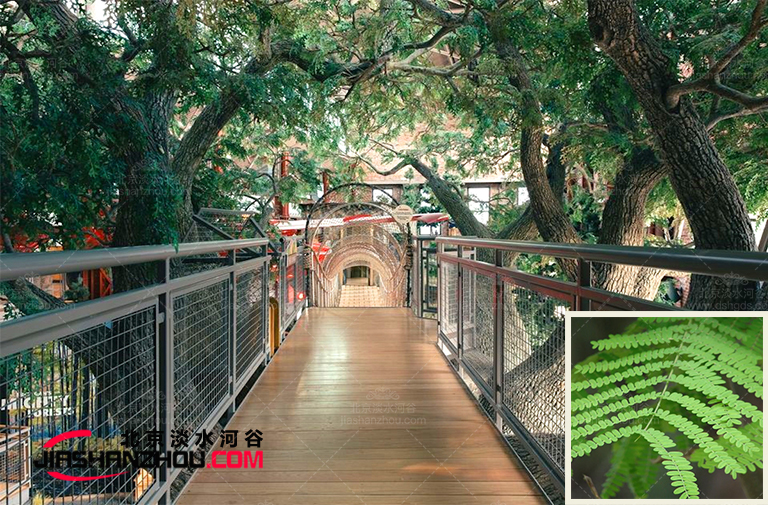 仿真樹.jpg 仿真樹