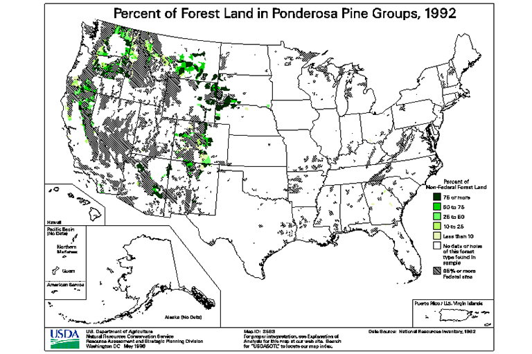 黃松類型地圖.jpg 黃松類型地圖