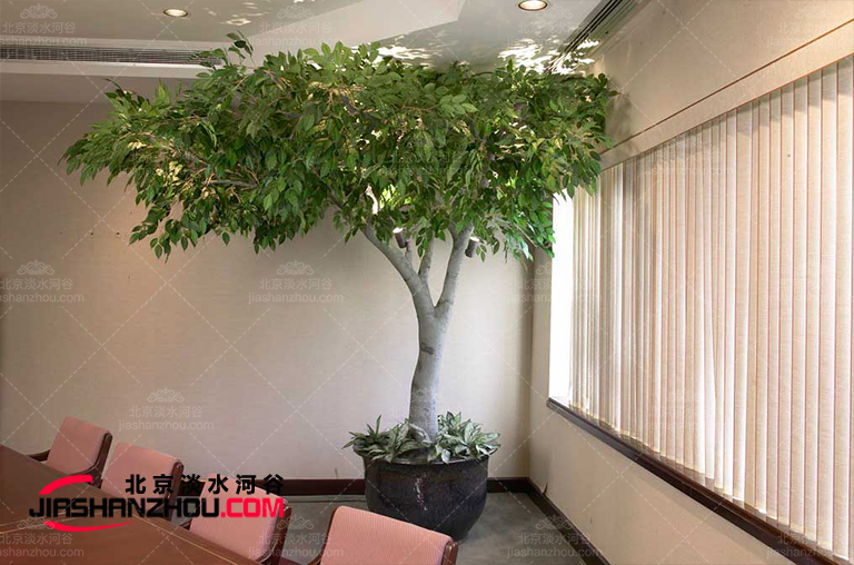 仿真樹.jpg 仿真樹