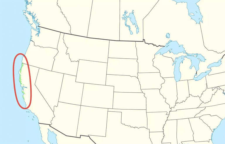 紅木樹生長范圍的地圖.jpg 紅木樹生長范圍的地圖