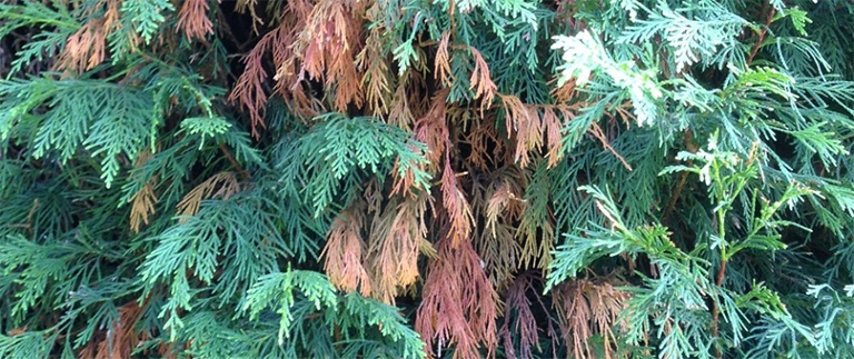 1588227405246488.jpg 1.jpg