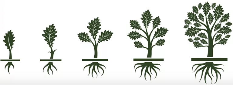 樹形結構.jpg 樹形結構