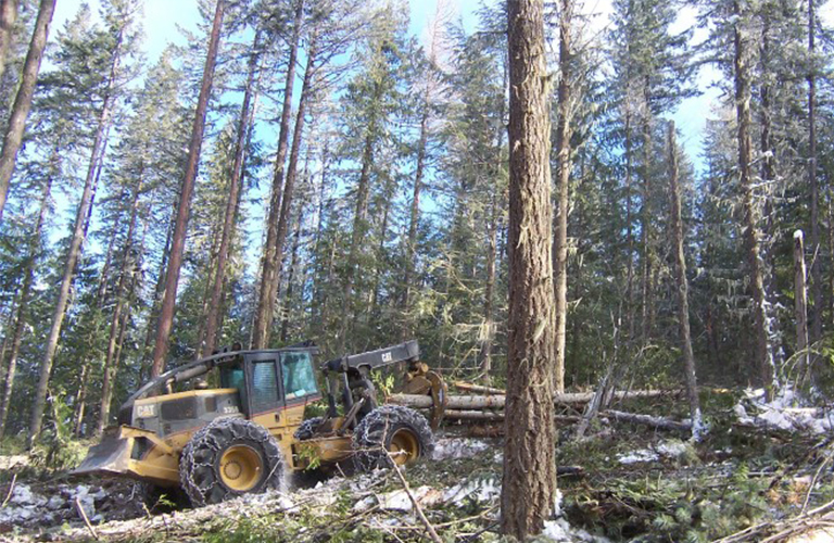 樹木均勻采伐方法.jpg 樹木均勻采伐方法