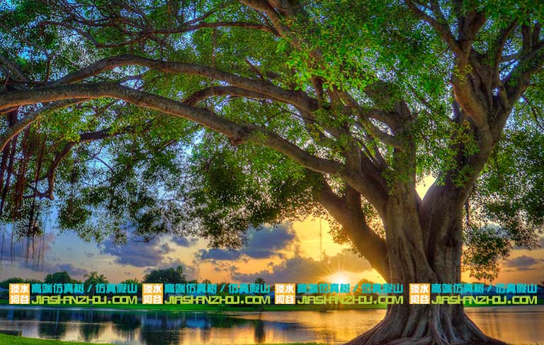 仿真假樹圖片.jpg 仿真假樹圖片