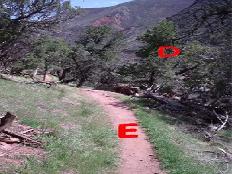 風(fēng)暴國(guó)王山紀(jì)念步道.jpg 風(fēng)暴國(guó)王山紀(jì)念步道