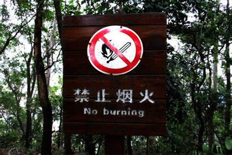 控制森林火災.jpg 控制森林火災