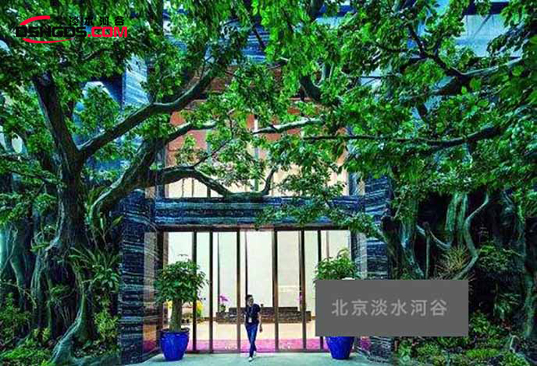 仿真榕樹樹.jpg 仿真榕樹樹