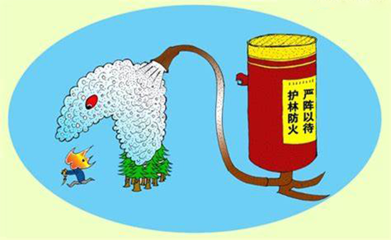 預(yù)測(cè)森林火災(zāi)