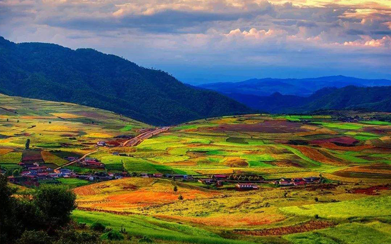 穩定同位素分析