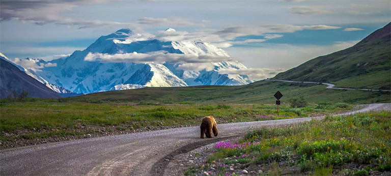 德納利國(guó)家公園和自然保護(hù)區(qū)