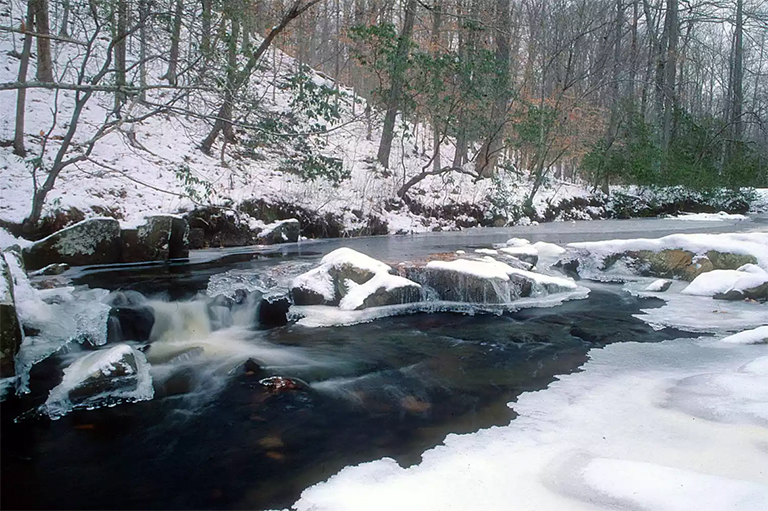 威廉王子森林公園.jpg 威廉王子森林公園