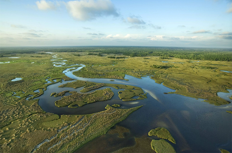 佛羅里達(dá)大沼澤地的鳥瞰圖.jpg 佛羅里達(dá)大沼澤地的鳥瞰圖