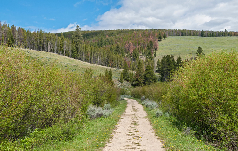 大洞國(guó)家戰(zhàn)場(chǎng)