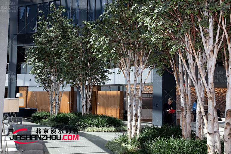 仿真樹.jpg 仿真樹