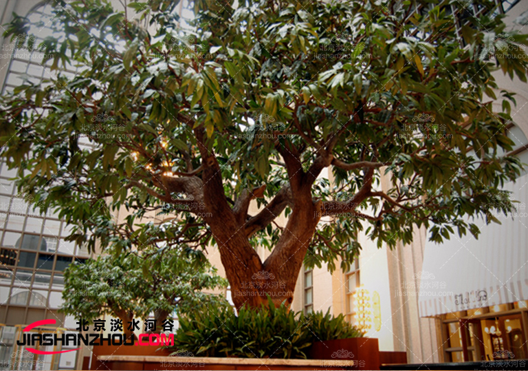 大仿真樹(shù)假樹(shù)