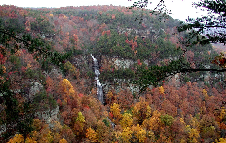 克蘭蘭峽谷州立公園,上升的小鹿.jpg 克蘭蘭峽谷州立公園,上升的小鹿