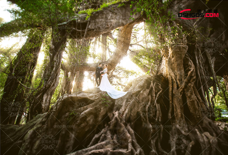 仿真樹.jpg 仿真樹