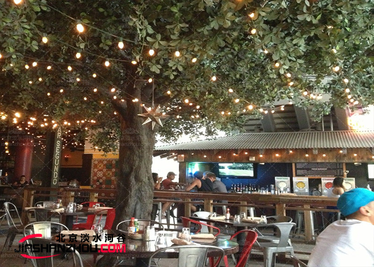 仿真樹(shù).jpg 仿真樹(shù)