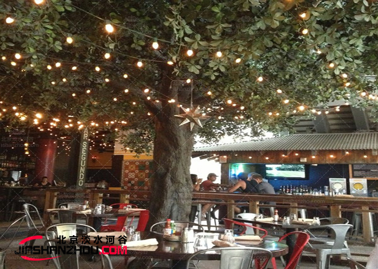 仿真樹(shù).jpg 仿真樹(shù)