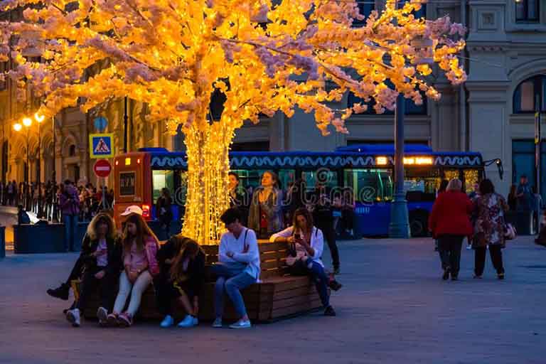 仿真樹.jpg 仿真樹