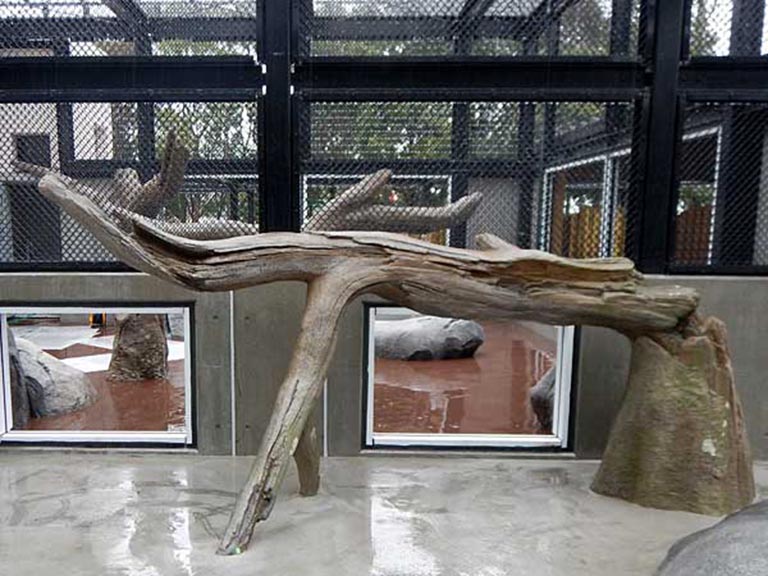 1610157635187863.jpg 124.jpg