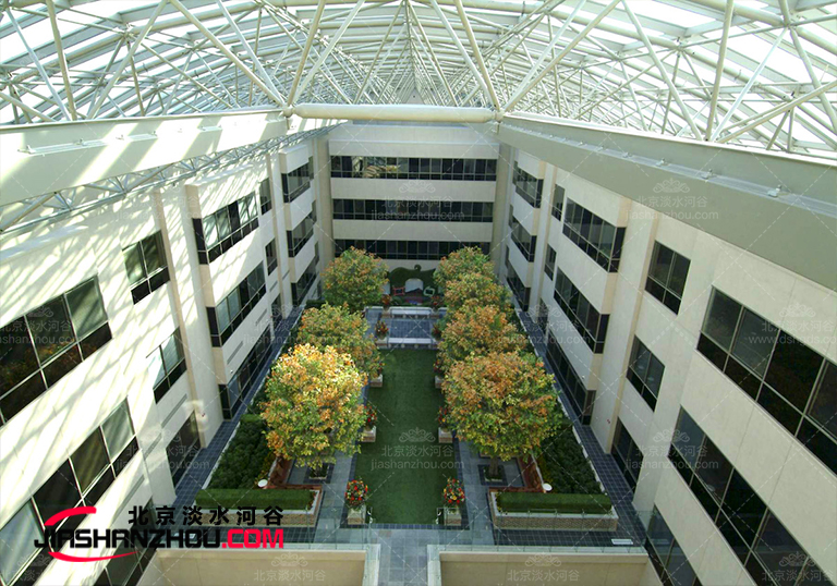 仿真榕樹.jpg 仿真榕樹