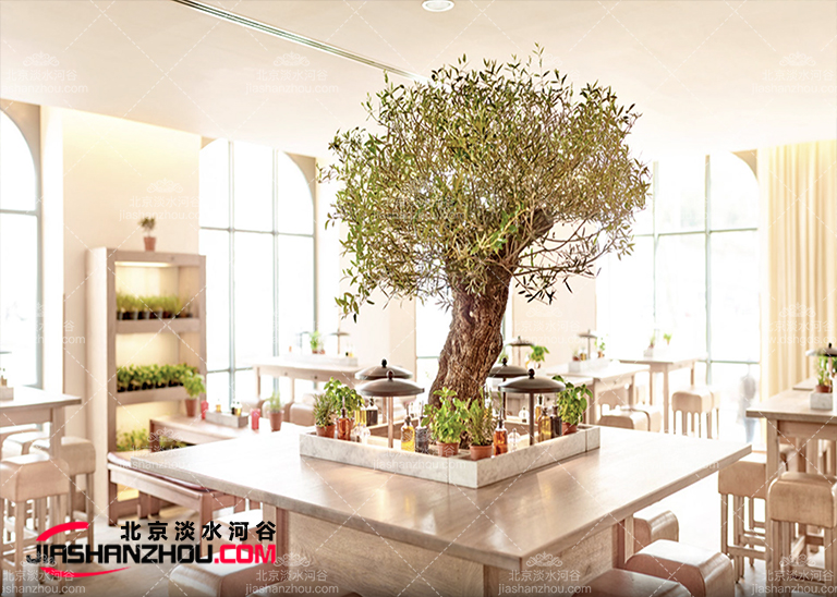 仿真樹.jpg 仿真樹