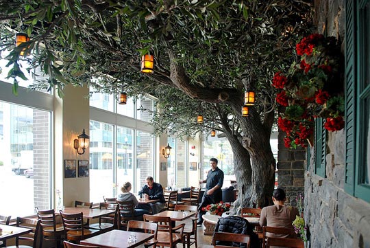 仿真樹圖片大全.jpg 仿真樹圖片大全