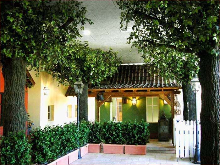 室內(nèi)仿真樹圖片.jpg 室內(nèi)仿真樹圖片