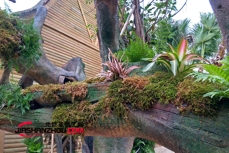 仿真假樹.jpg 仿真假樹