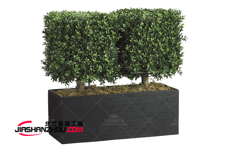 仿真樹.jpg 仿真樹