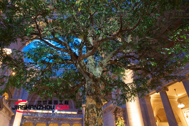 仿真樹(shù).jpg 仿真樹(shù)