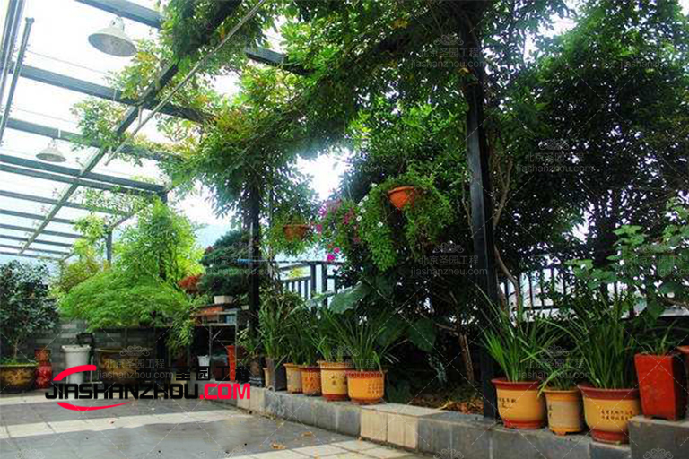 仿真樹.jpg 仿真樹