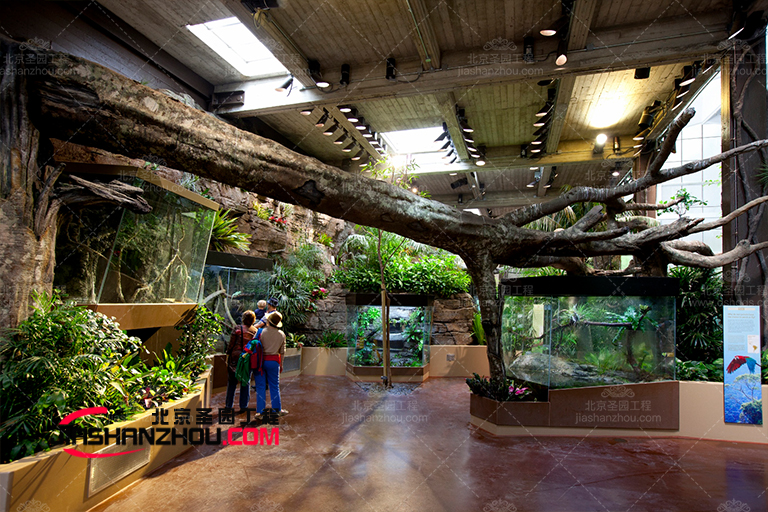 仿真樹(shù).jpg 仿真樹(shù)