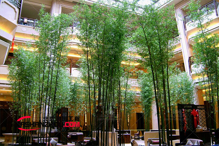 仿真樹.jpg 仿真樹