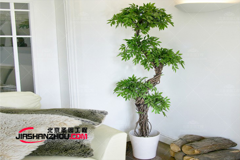 仿真樹.jpg 仿真樹