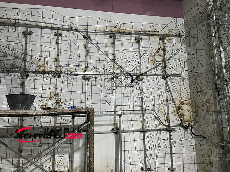 鹽療汗蒸房.jpg 鹽療汗蒸房