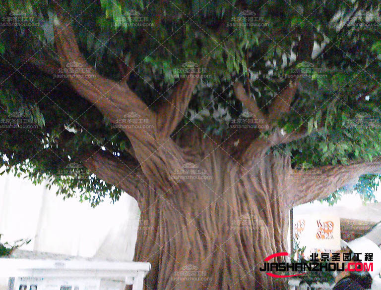 仿真樹(shù).jpg 仿真樹(shù)