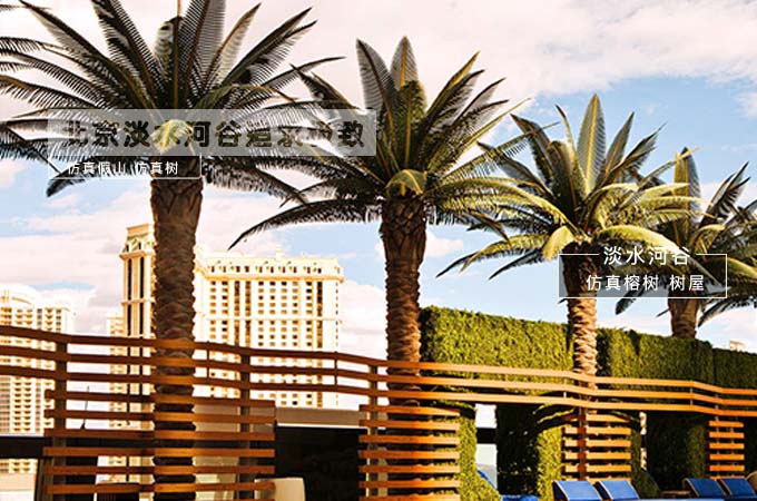 仿真樹.jpg 仿真樹.jpg