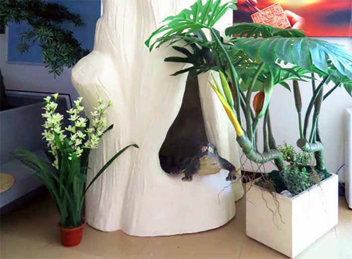 塑石假山.jpg 塑石假山.jpg