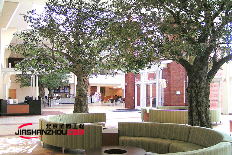 仿真樹.jpg 仿真樹.jpg